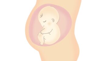 逆子になる原因は?出産への影響や日常でできる対処法などをわかりやすく紹介